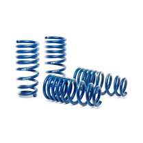 H&R Verlagingsveren passend voor Mercedes E-Klasse W213 Sedan E300DE/E300e/E350e 2WD/4WD 2016- VA45mm/AA40mm